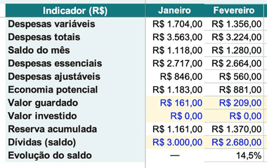 Recorte da Visão Anual: as linhas Despesas variáveis, Despesas totais, Saldo do mês, Despesas essenciais, Despesas ajustáveis, Economia potencial, Valor guardado, Valor investido, Reserva acumulada e Dívidas com as colunas de Janeiro e Fevereiro lado a lado